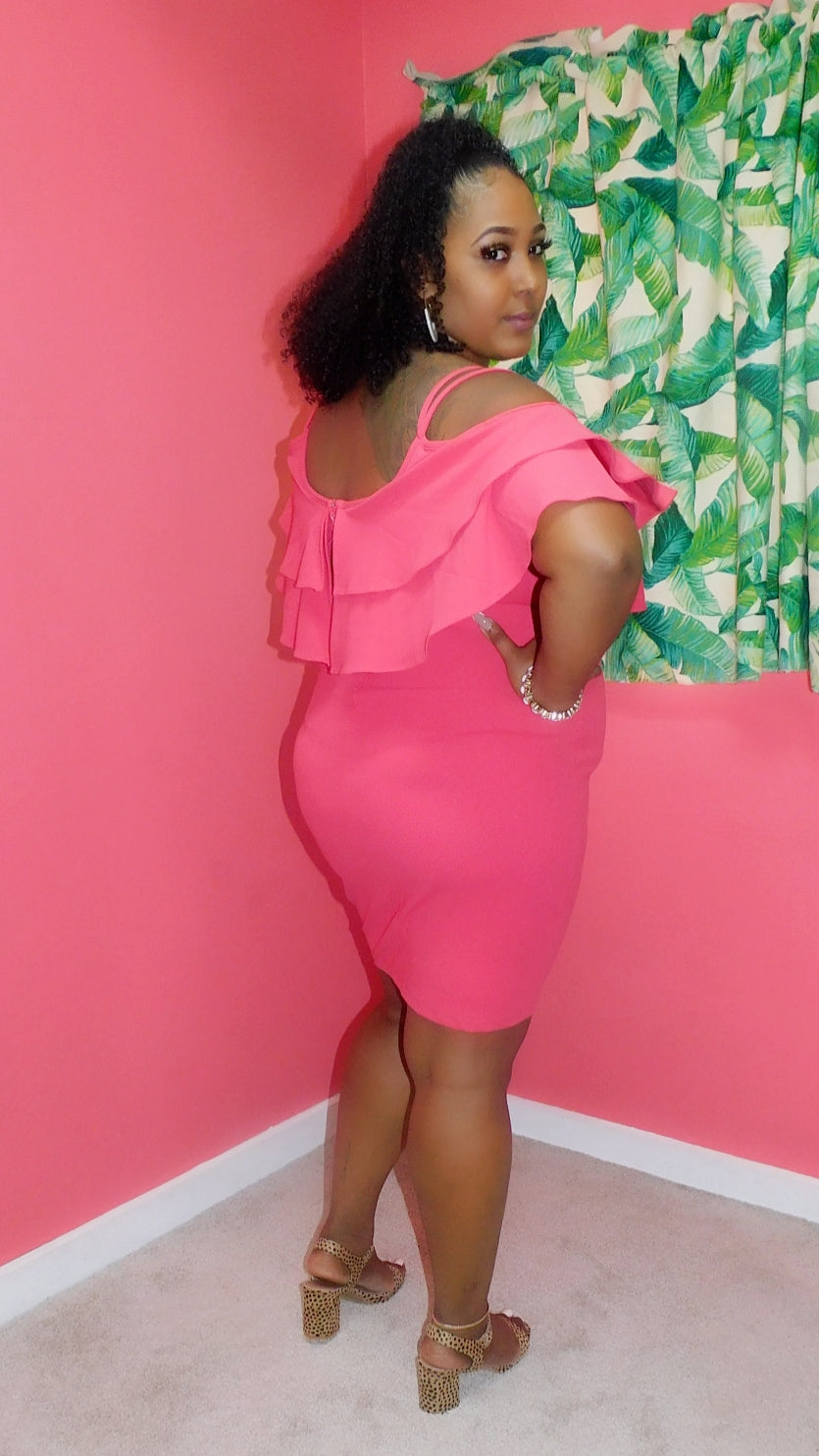 Plus Size Pink Double Ruffle Dress